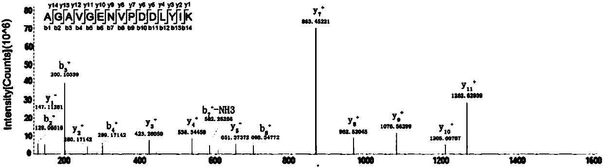 Quantitative detection method of HPV L1 protein
