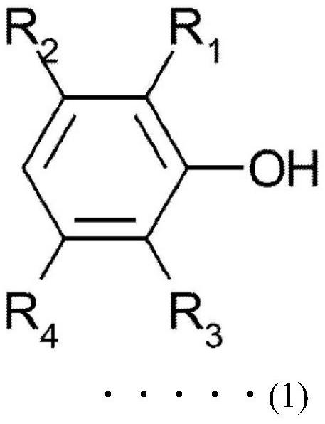 Polyphenylene ether powder and its production method