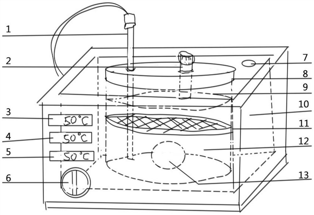 Manufacturing method and device of old biological plasticized specimen