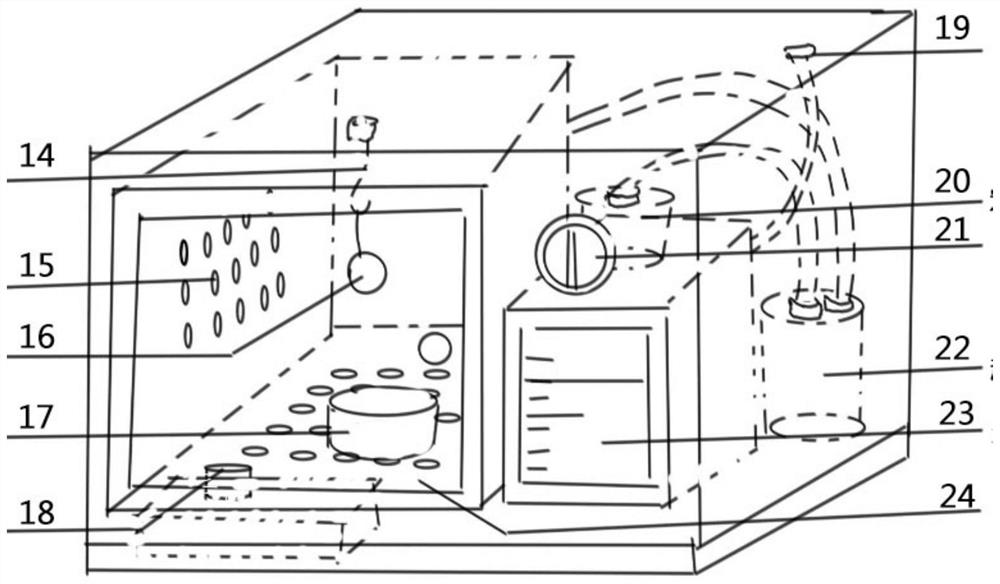 Manufacturing method and device of old biological plasticized specimen