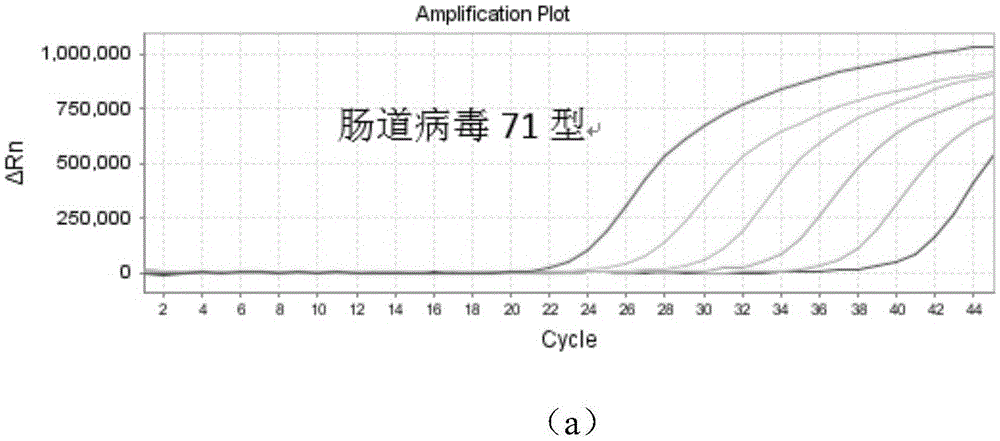 Nucleic acid amplification system and freeze-drying protective agent thereof