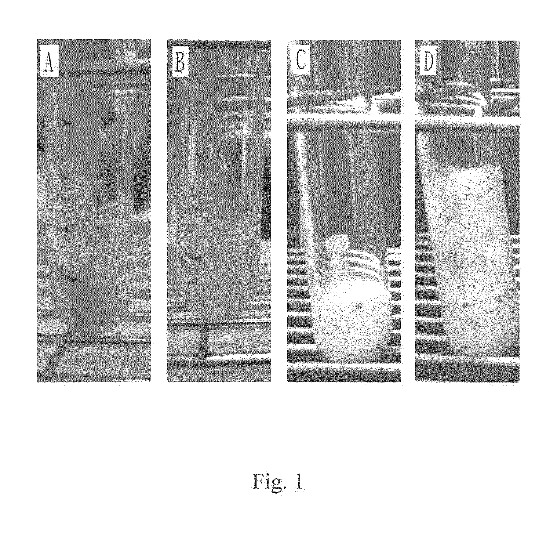 Process for producing inorganic interconnected 3D open cell bone substitutes