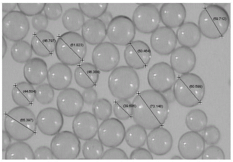 Hollow glass microsphere