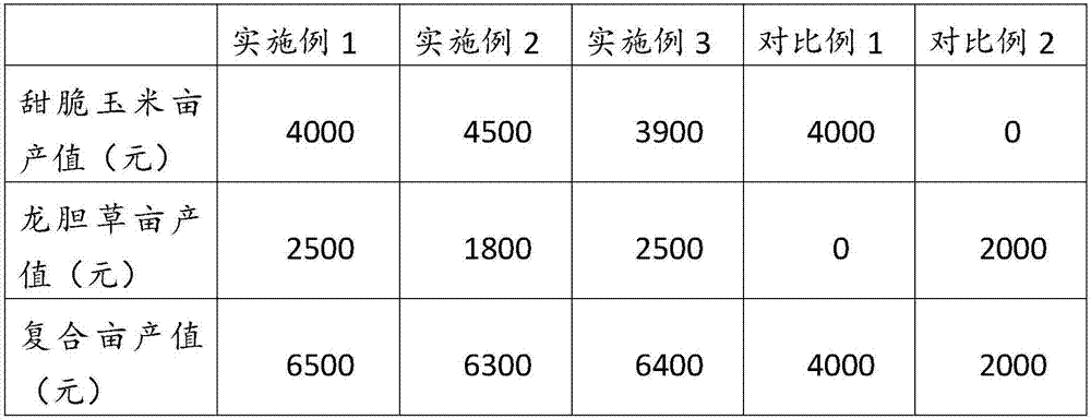 Method for interplanting felwort and sweet and crispy corn in seedling raising period