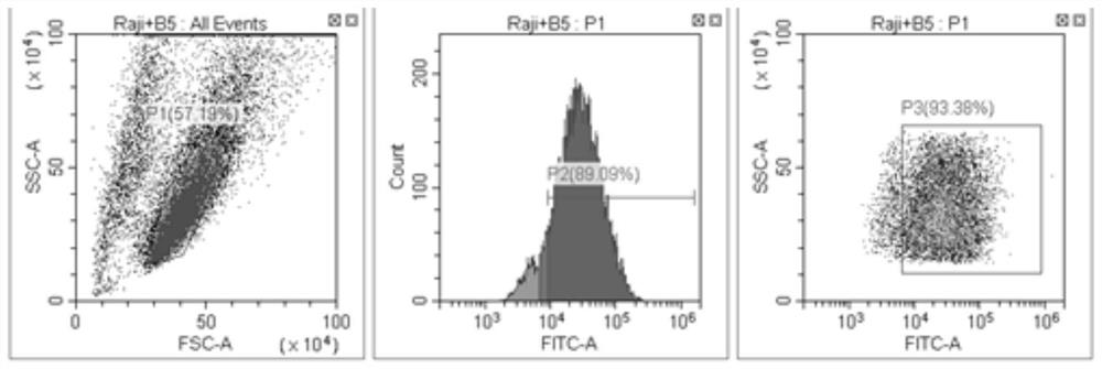 Anti-CD19 humanized antibody as well as preparation method and application thereof