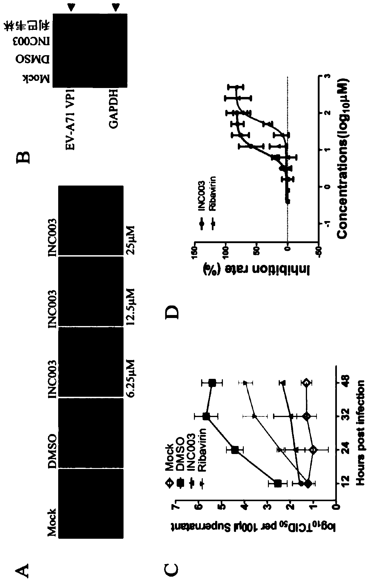 Application of diacerein in preparation of antiviral drugs and treatment of virus infection