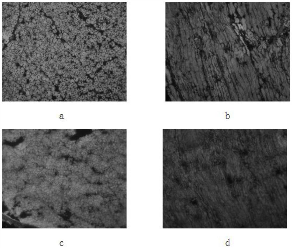 A kind of decellularized nerve matrix material and its preparation method and application