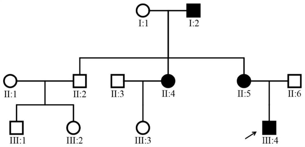 A congenital aniridia screening kit