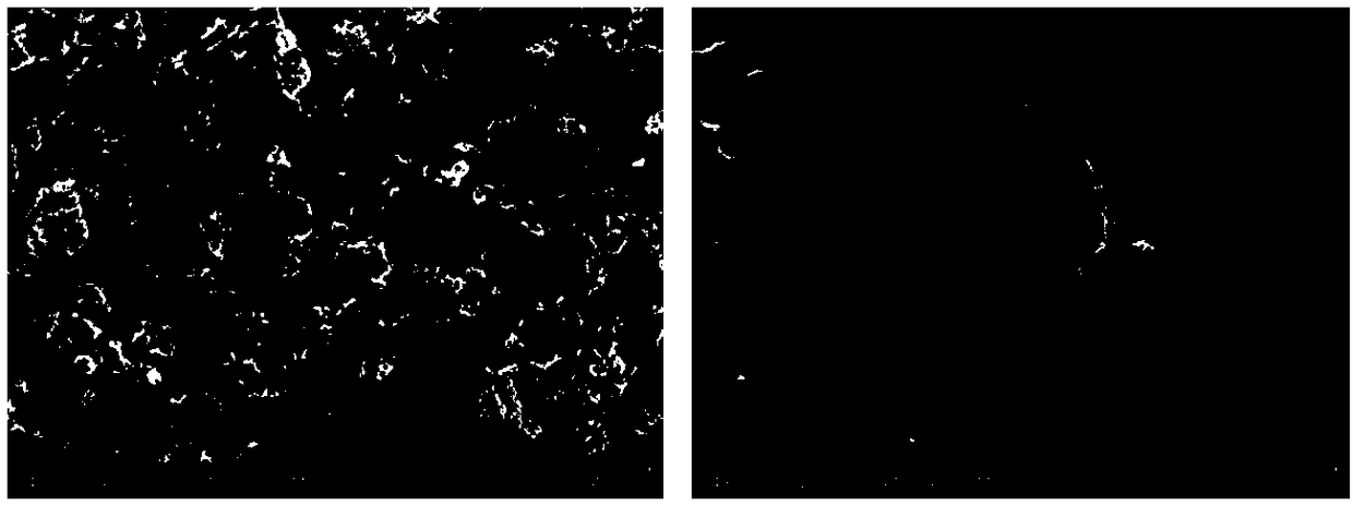 A kind of hollow graphene microspheres with high specific surface area and many folds and preparation method thereof