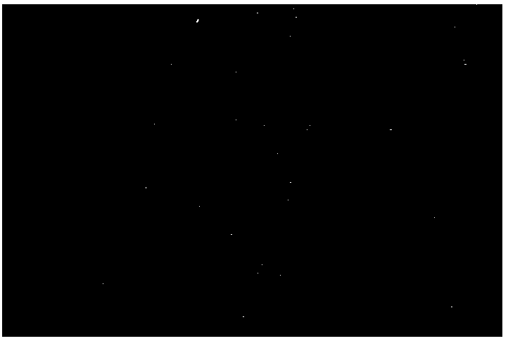 A kind of hollow graphene microspheres with high specific surface area and many folds and preparation method thereof