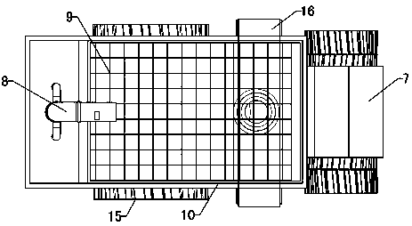 Device for catching shellfish