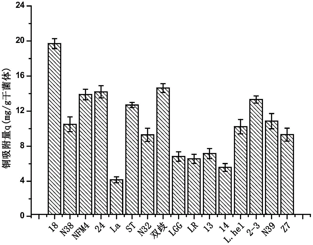 A kind of Lactobacillus plantarum capable of alleviating copper toxicity and its application