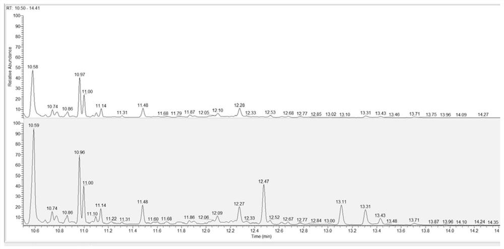 A dpx-gc-ms detection method for 2-chlorodiazepam and 4-chlorodiazepam in urine