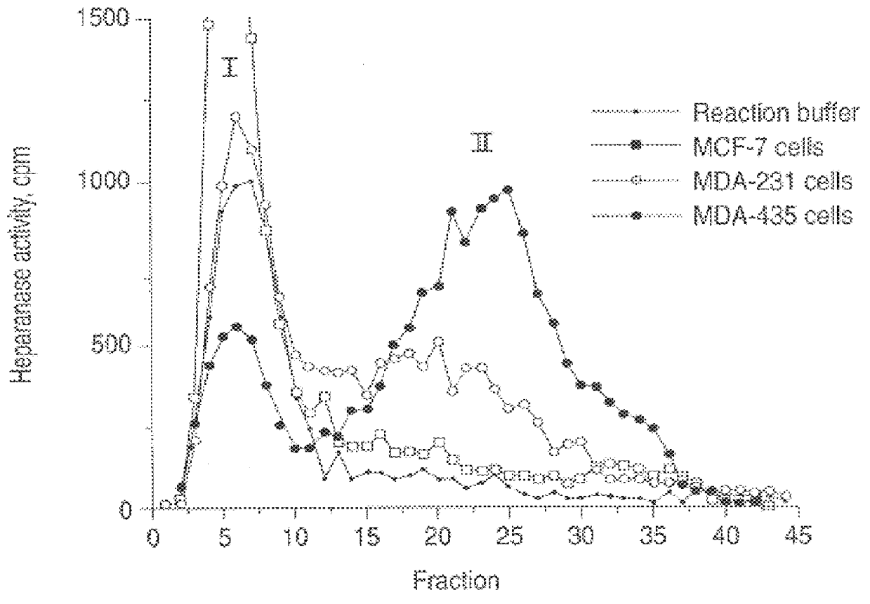 Heparanase specific molecular probes and their use in research and medical applications