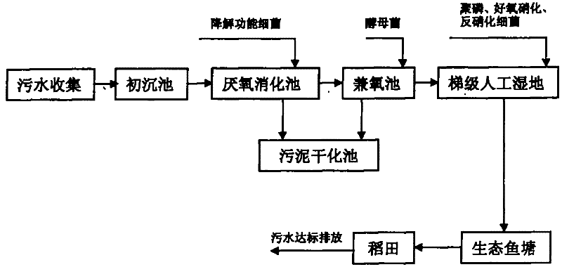 Town domestic sewage treatment process