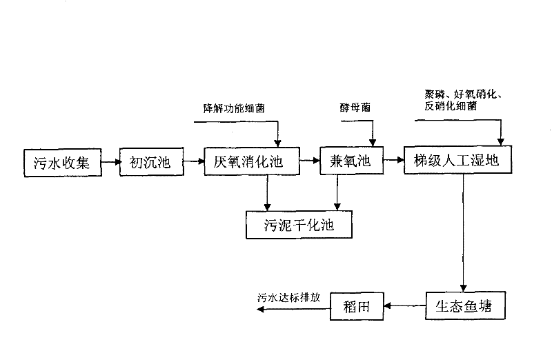 Town domestic sewage treatment process