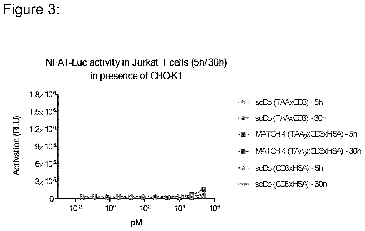 Hetero-dimeric multi-specific antibody format targeting at least cd3 and hsa