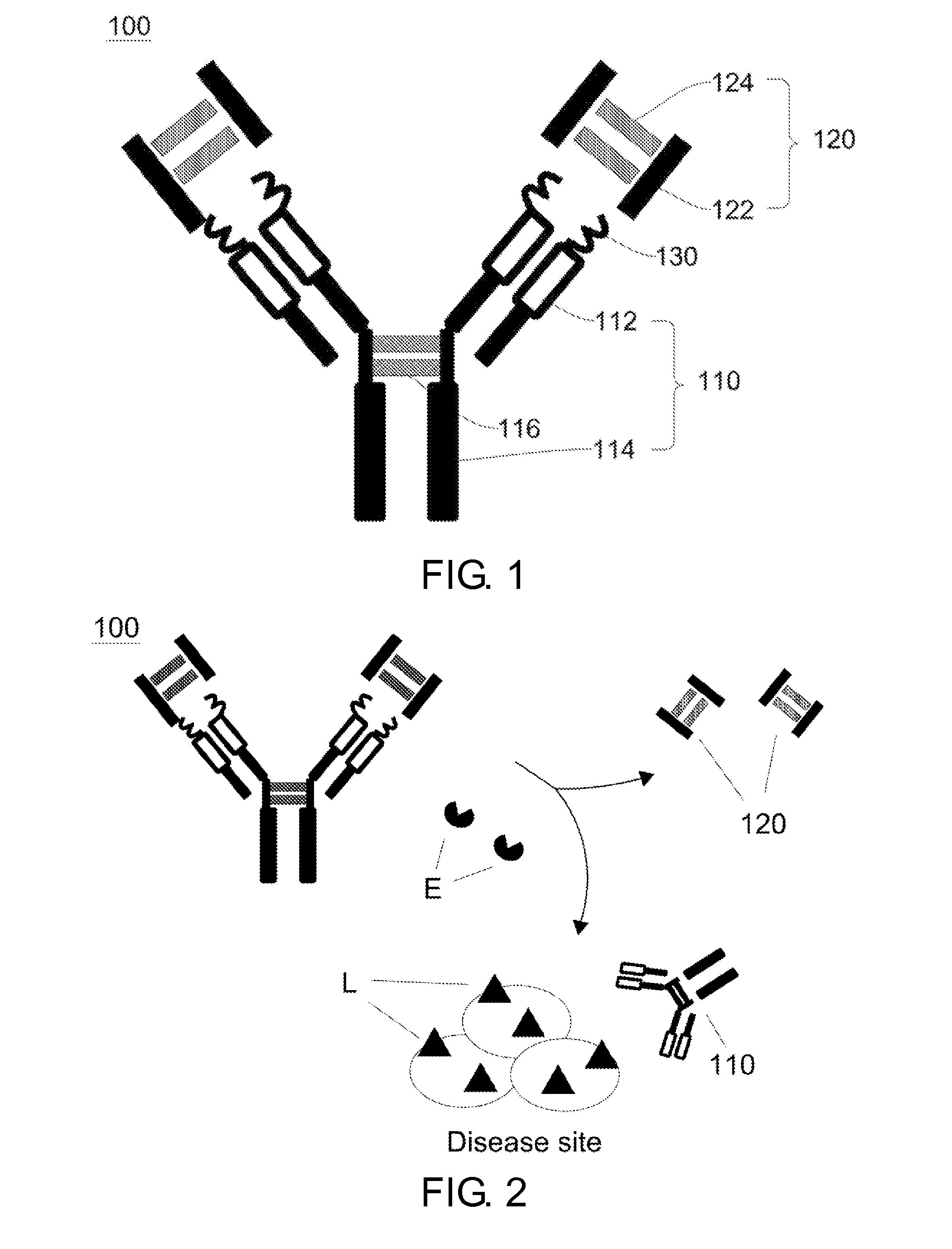 Antibody locker for the inactivation of protein drug