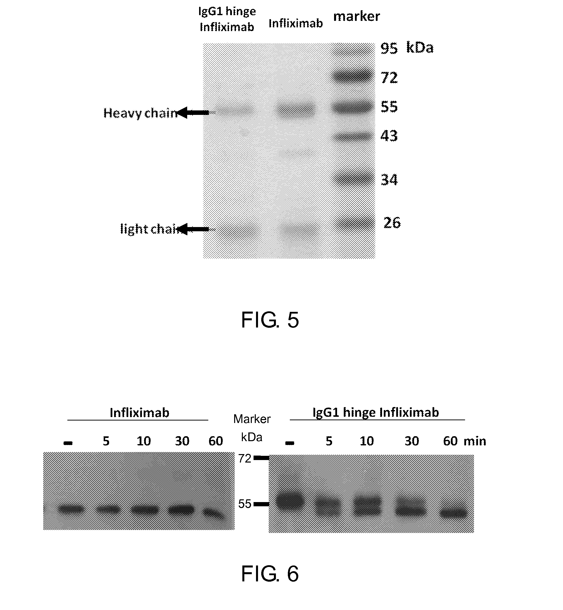 Antibody locker for the inactivation of protein drug