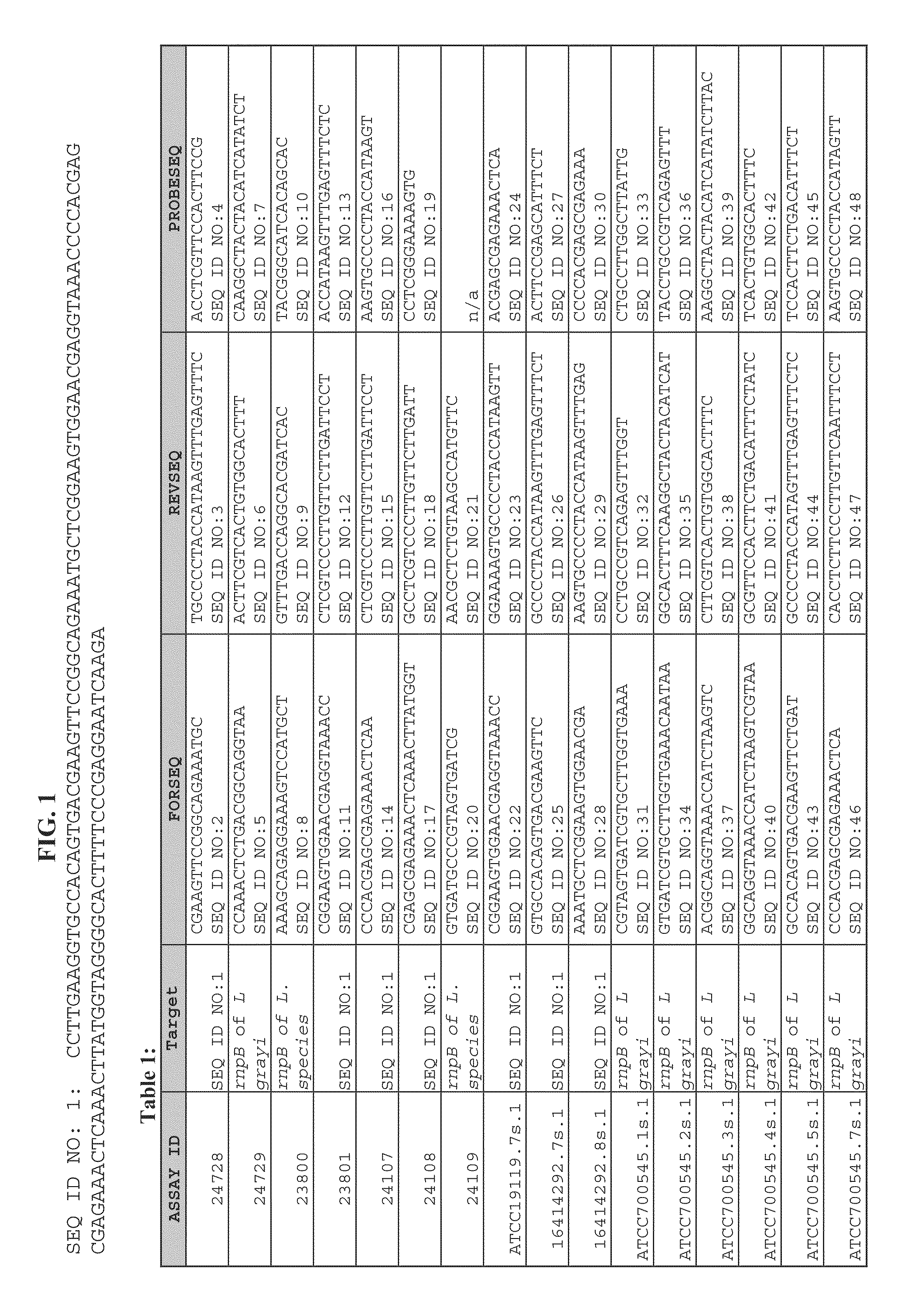 Detection of listeria species in food and environmental samples, methods and compositions thereof