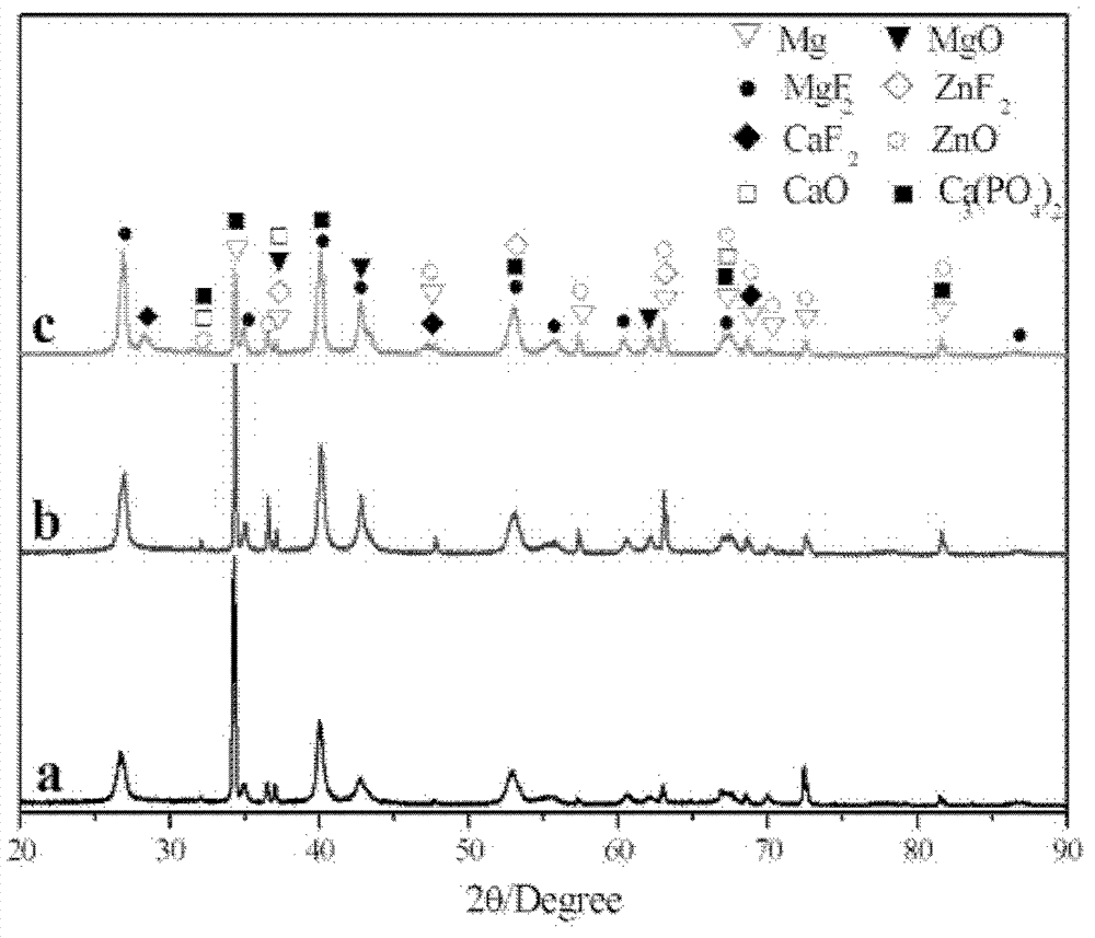 Preparation method of biological ceramic coating rich in calcium and phosphate phases on surface of magnesium alloy