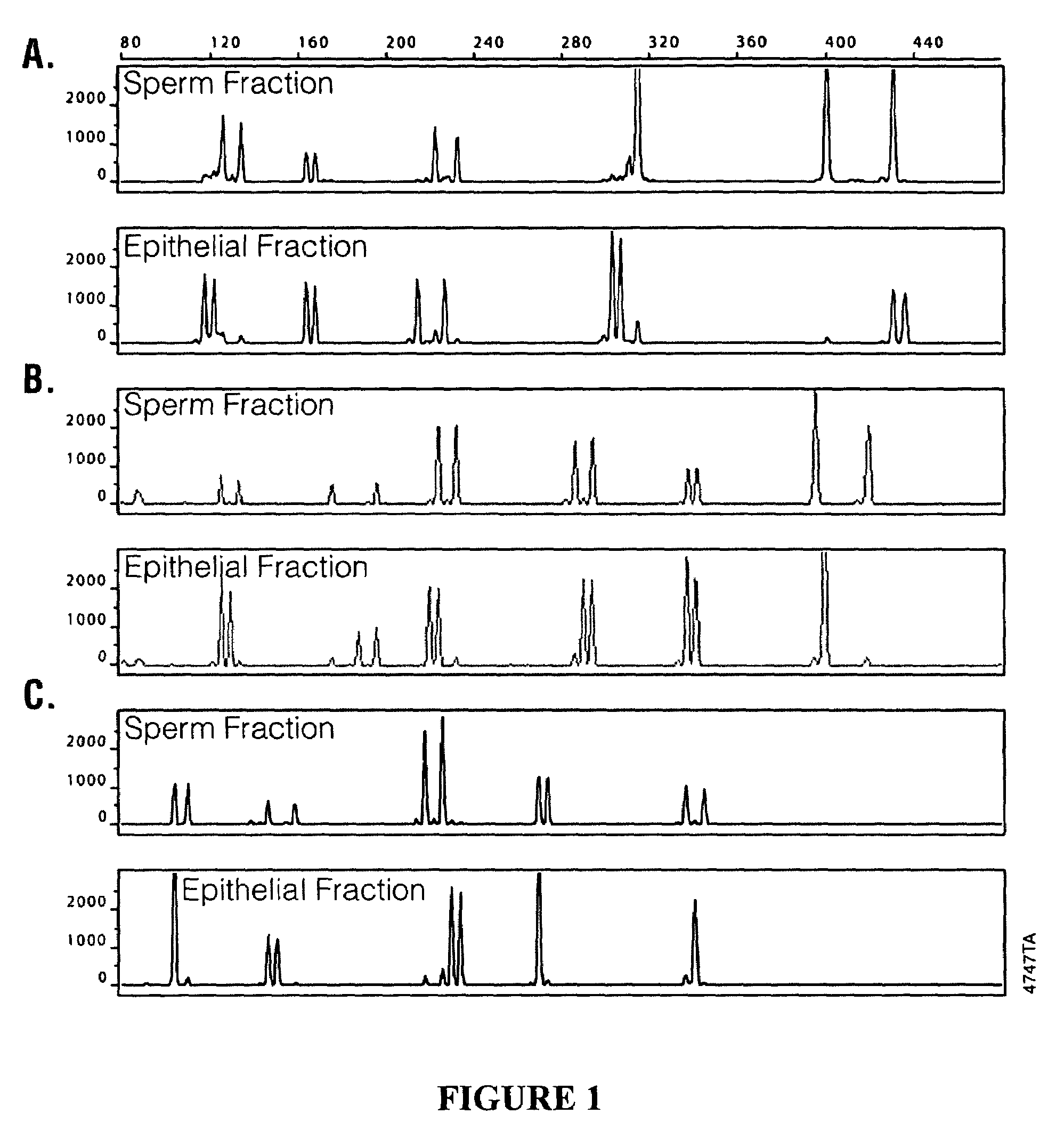 Methods and kits for isolating sperm cells