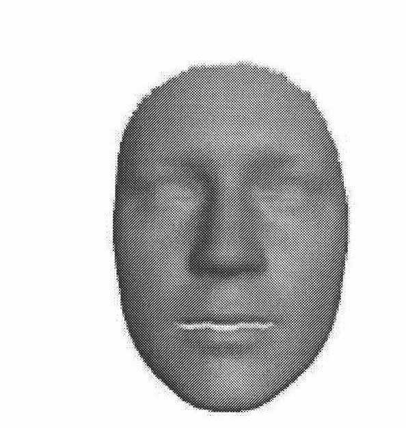 Method for reconstructing high-resolution human face based on grid deformation and continuous optimization