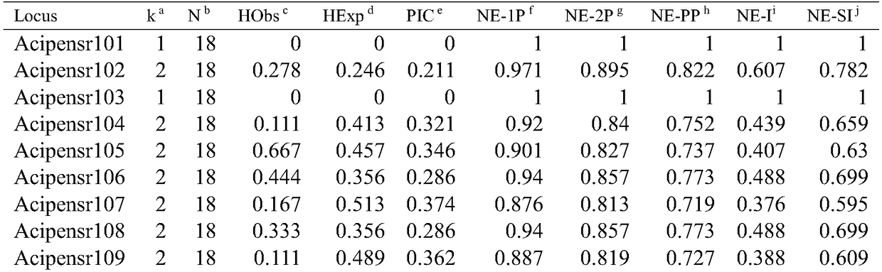 Sturgeon SNP (single nucleotide polymorphism) molecular markers, sturgeon seed production evaluation method and genetic evaluation method