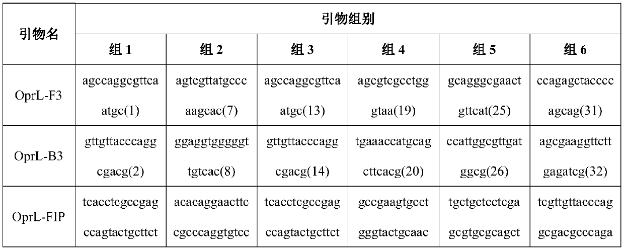 Pseudomonas aeruginosa dry powder lamp rapid detection kit and its application method