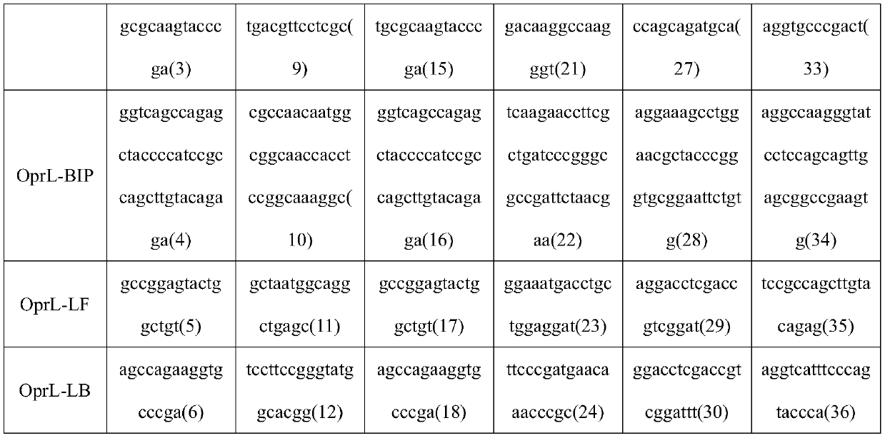 Pseudomonas aeruginosa dry powder lamp rapid detection kit and its application method