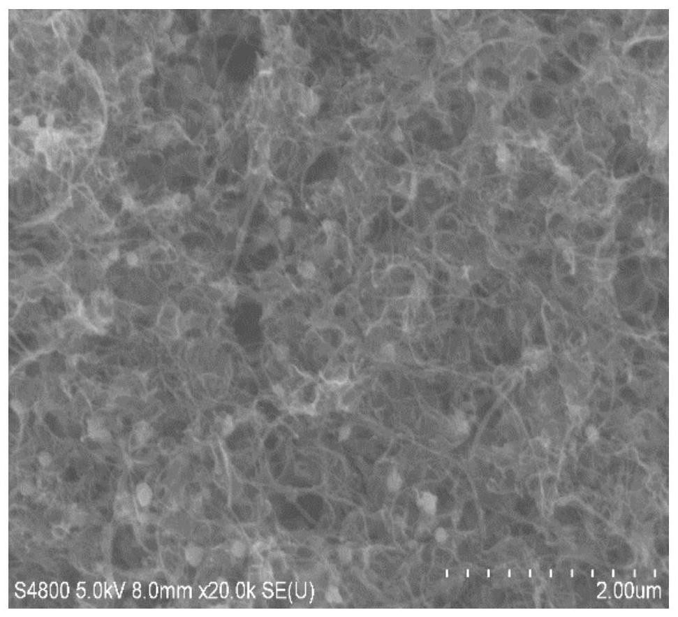 Defect-based compound-anchored single-atom composite material and its preparation method and application