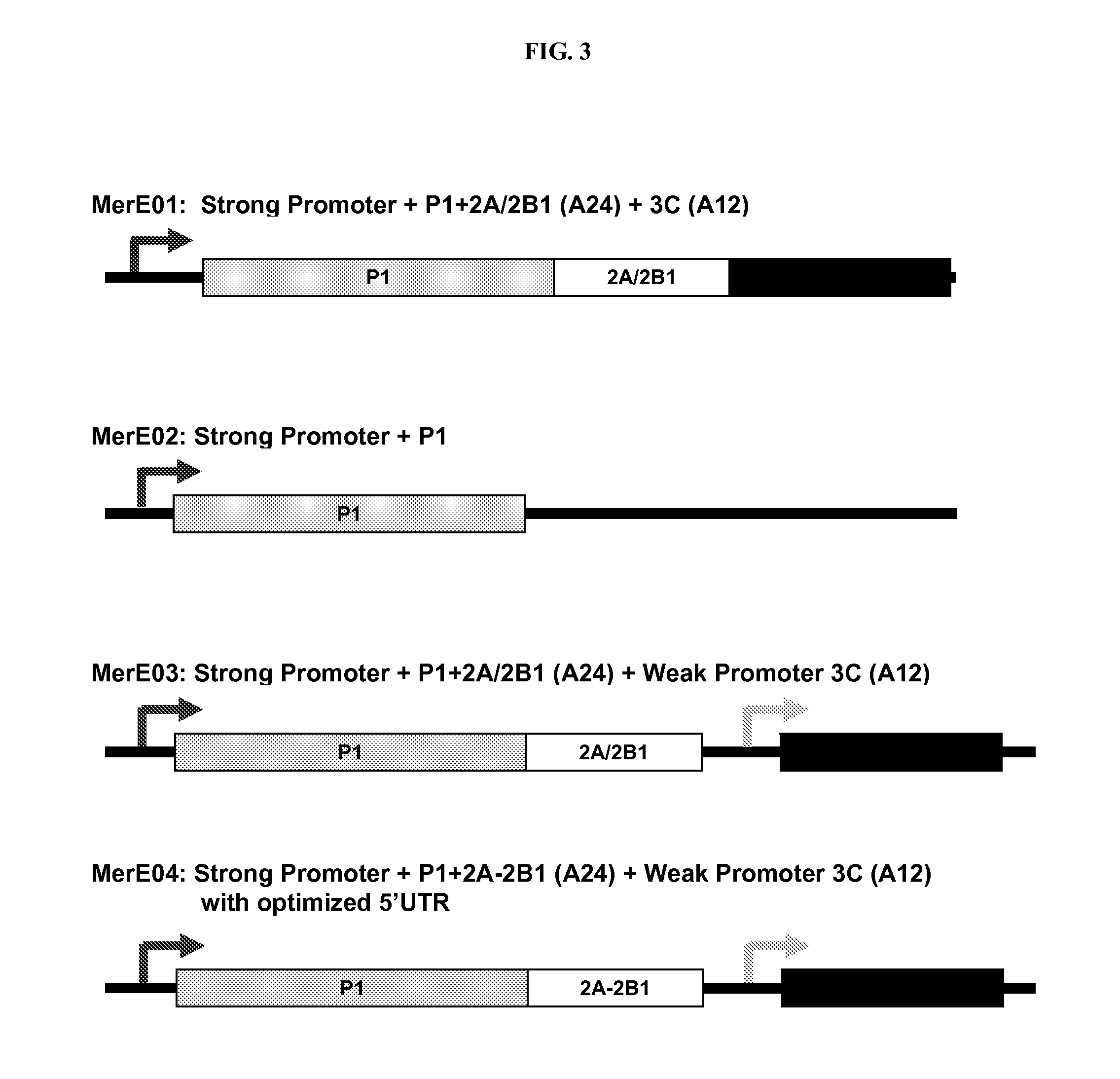 Foot and mouth disease virus recombinant vaccines and uses thereof