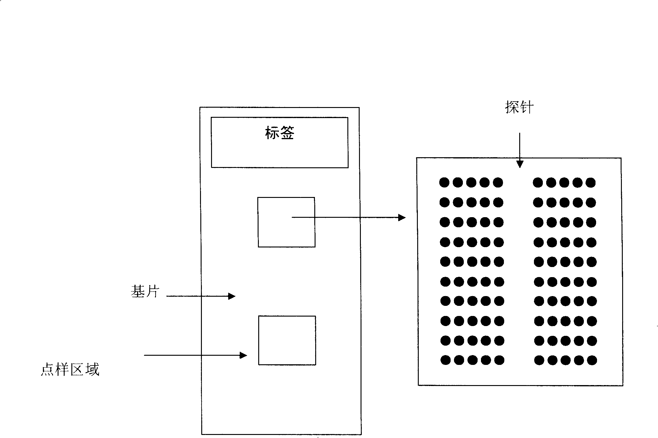 Gene chip for detection of hyperpiesis individual medicine correlated gene mutation and uses thereof