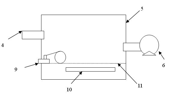 Full-exposure cuttage and propagation method of camellia reticulata