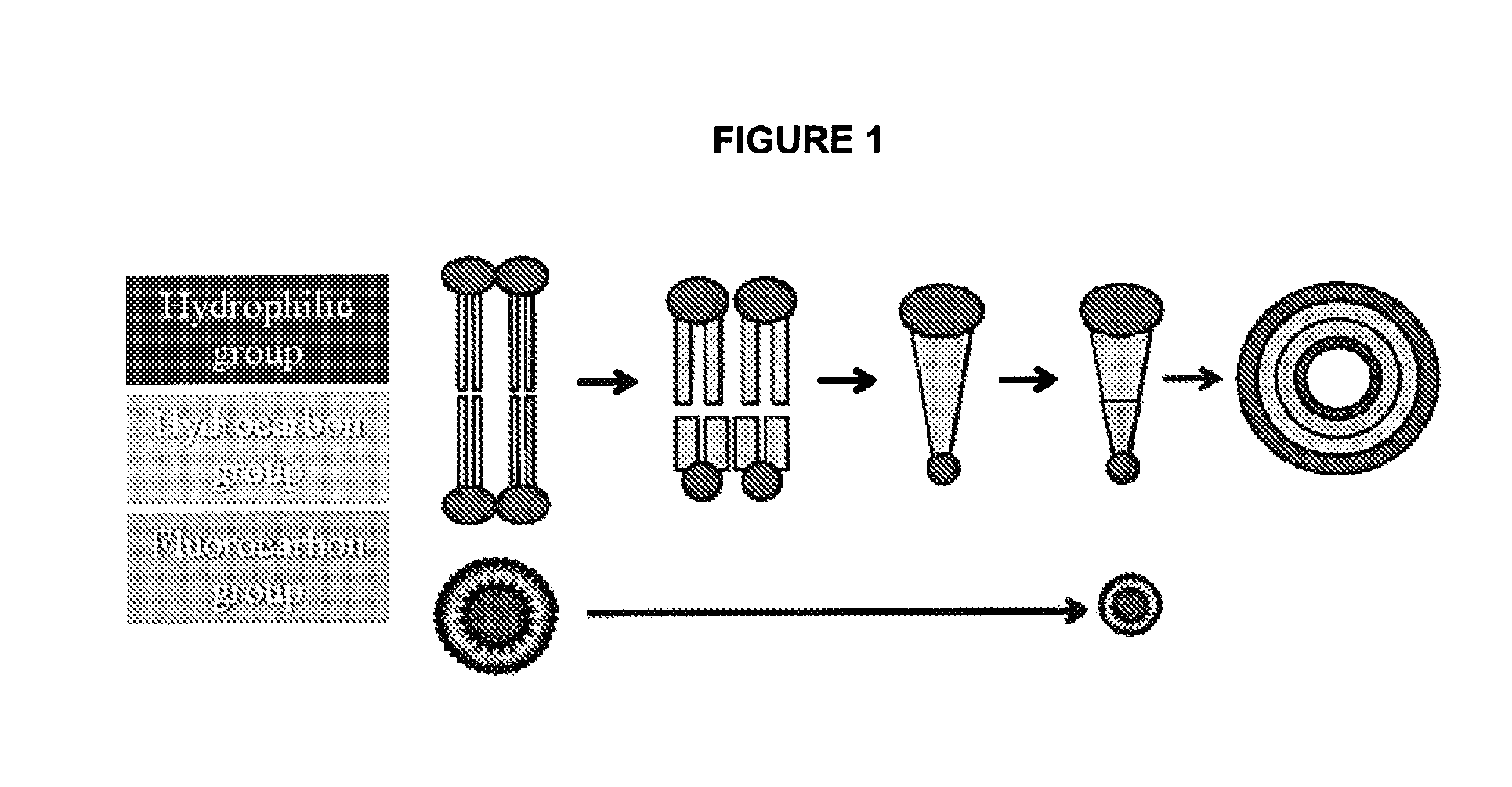 Zwitterionic lipids