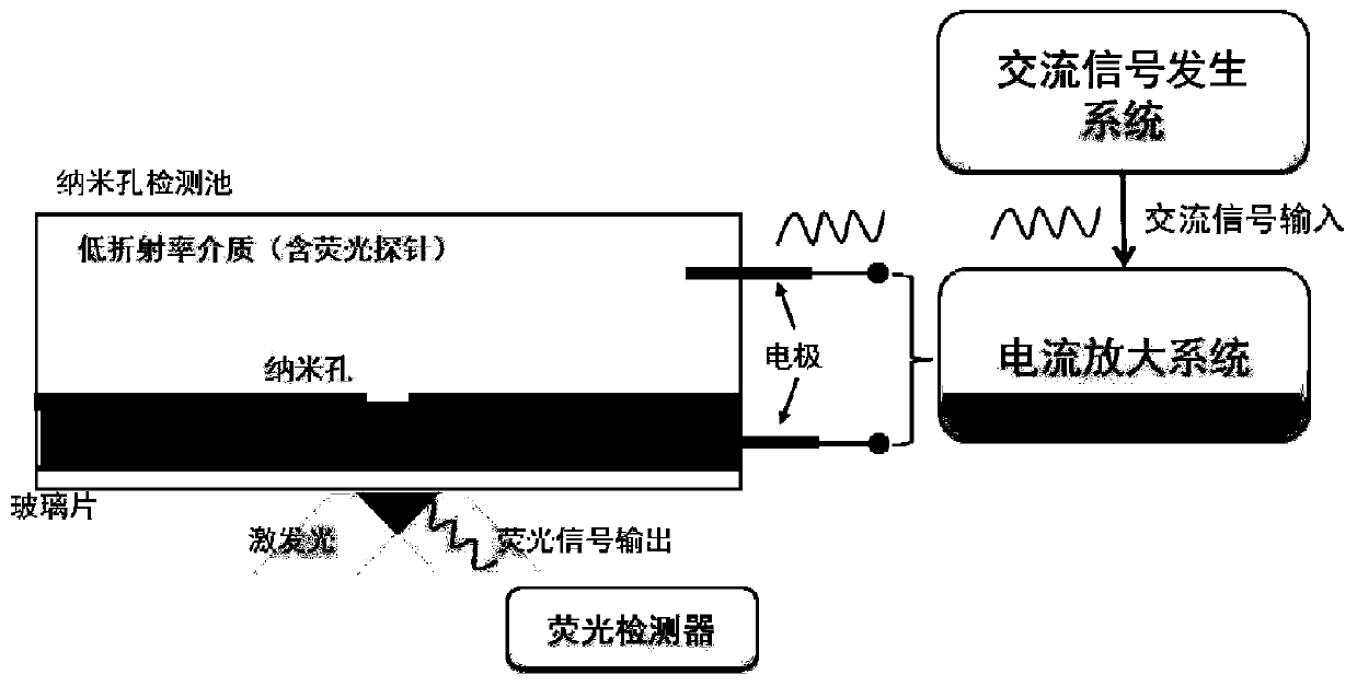 Nanopore single-molecule fluorescence imaging device and method under alternating current mode