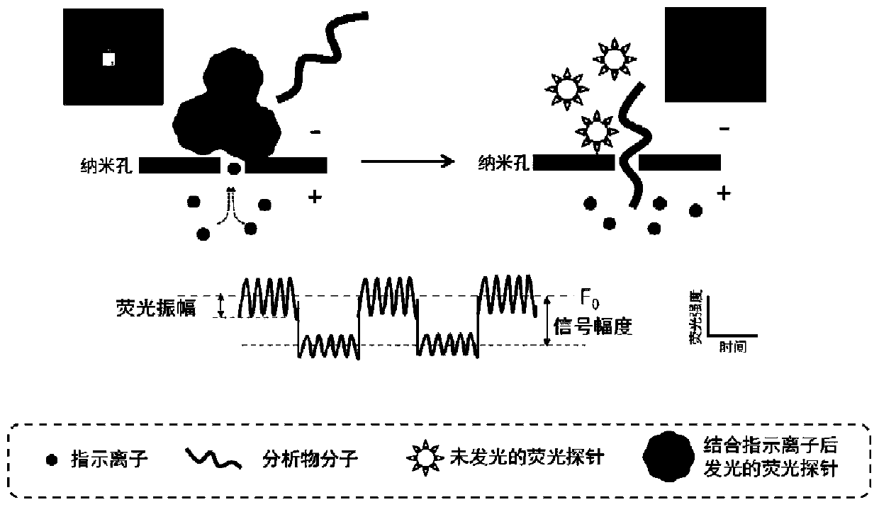 Nanopore single-molecule fluorescence imaging device and method under alternating current mode