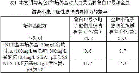 Chinese cabbage isolated microspore inducing medium formula