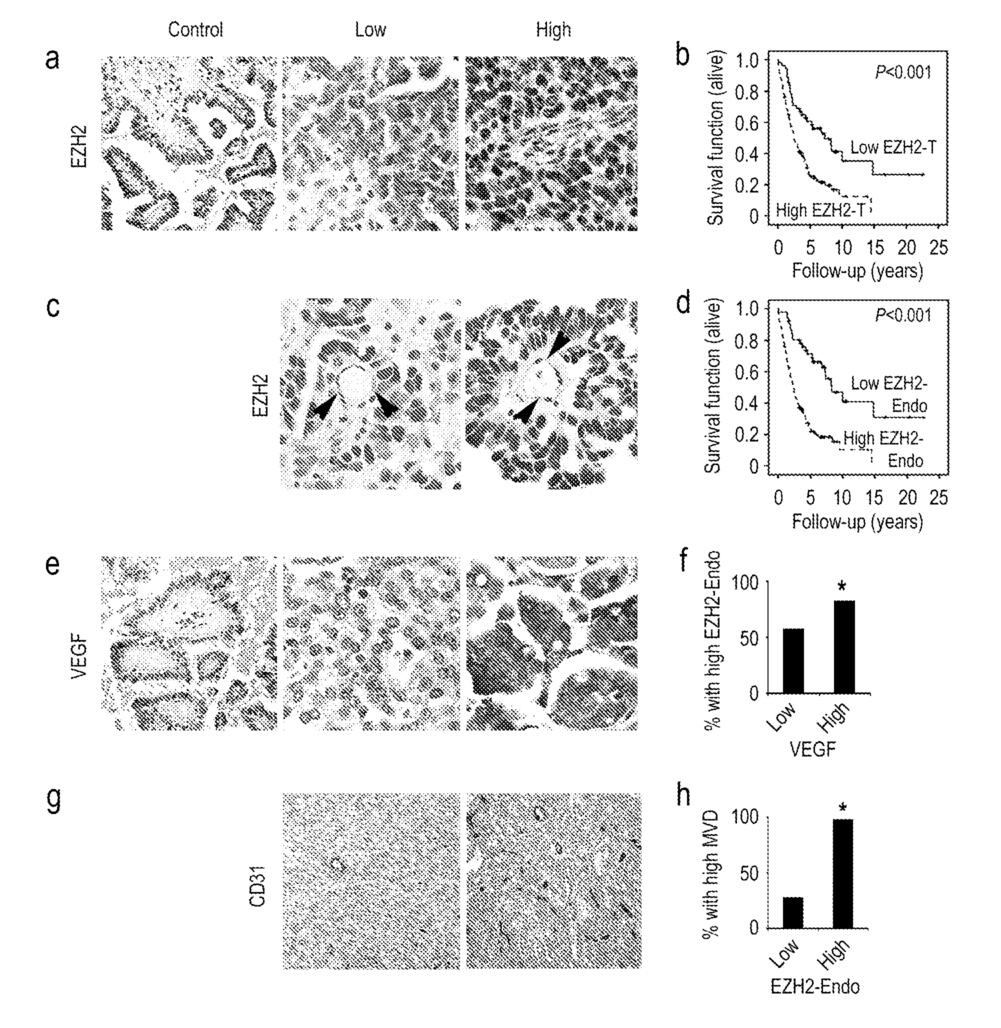 Methods and compositions involving chitosan nanoparticles