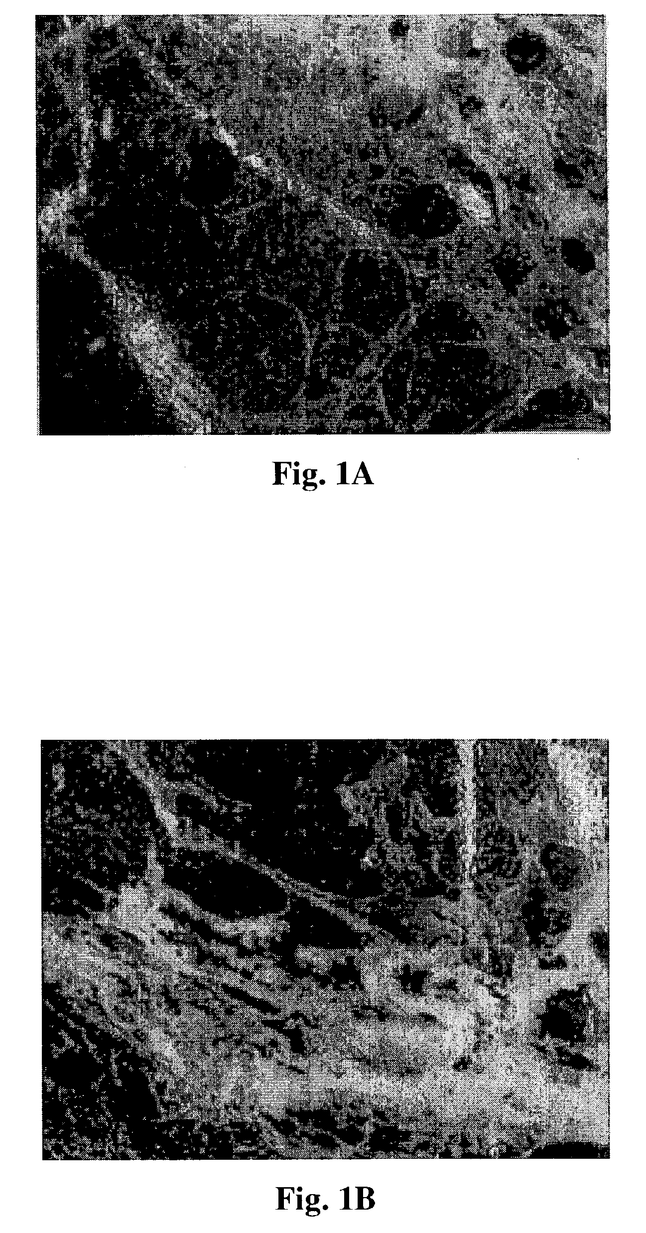 Juvenile hormone compositions and methods for making same