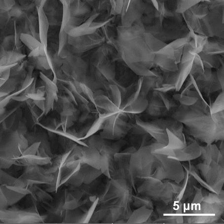 Preparation method of molybdenum-doped cobalt-iron oxide nano-sheet bifunctional electrocatalyst