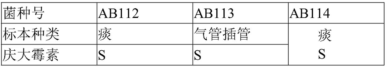 Building method for drug resistance baumanii infection caenorhabditis elegans medicine screening model and application thereof