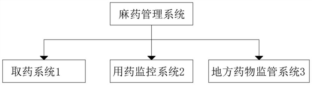 Anesthetic management system with real-time monitoring and medicine supervision functions