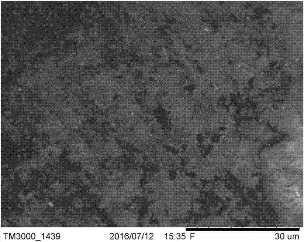 Hydrothermal purification method