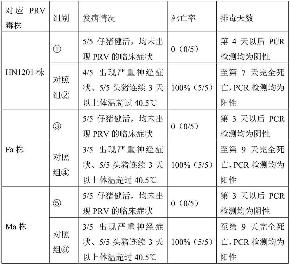 Monoclonal antibody combined with pseudorabies virus gd protein and its application