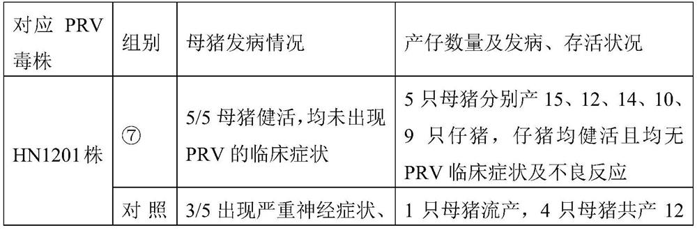 Monoclonal antibody combined with pseudorabies virus gd protein and its application