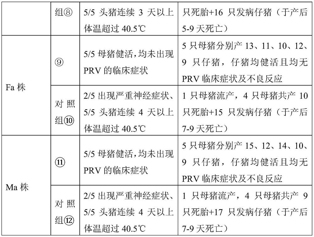 Monoclonal antibody combined with pseudorabies virus gd protein and its application