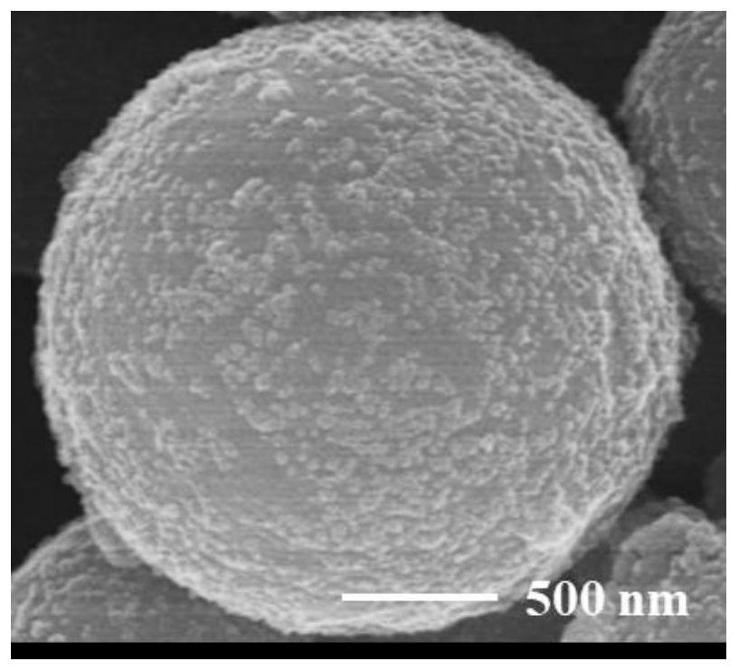 Composite microcapsule adsorbent for removing Cs &lt; + &gt; in water and preparation method thereof