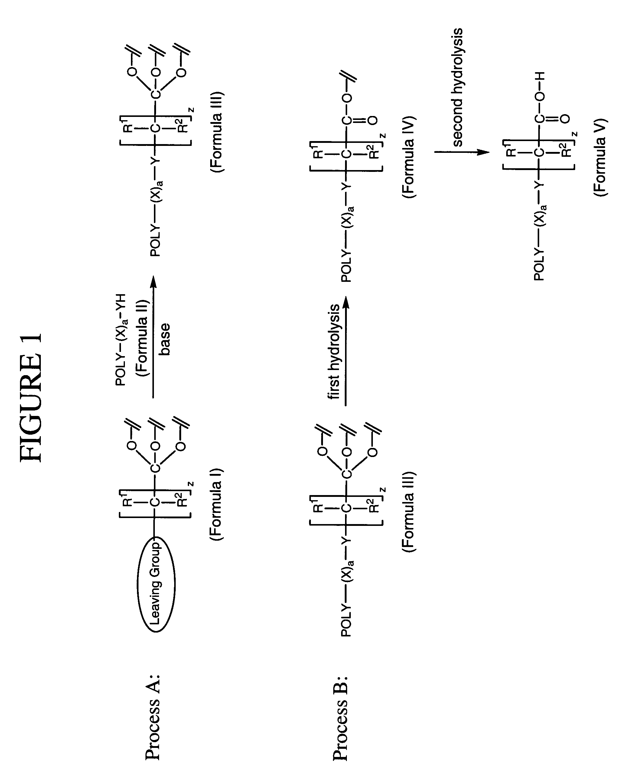 Method for preparing water-soluble polymer derivatives bearing a terminal carboxylic acid