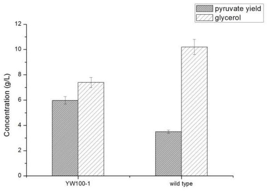 A kind of Yarrowia esterolytica yw100-1 and its application